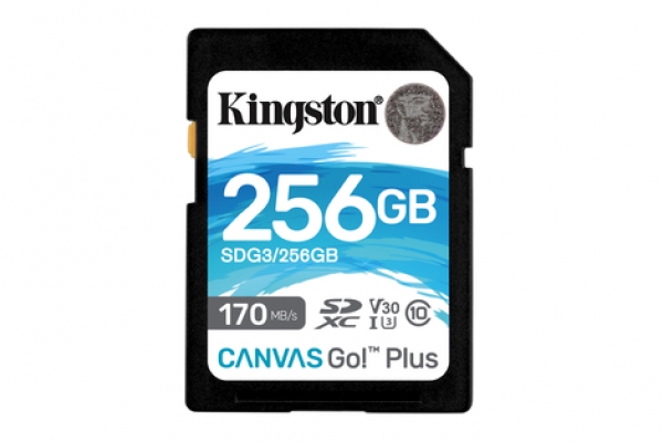 KINGSTON TECHNOLOGY CANVAS GO! PLUS MEMORIA FLASH 256 GB SD CLASE 10 UHS-I